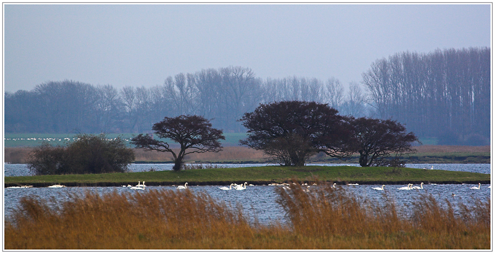 Dezember in Vorpommern