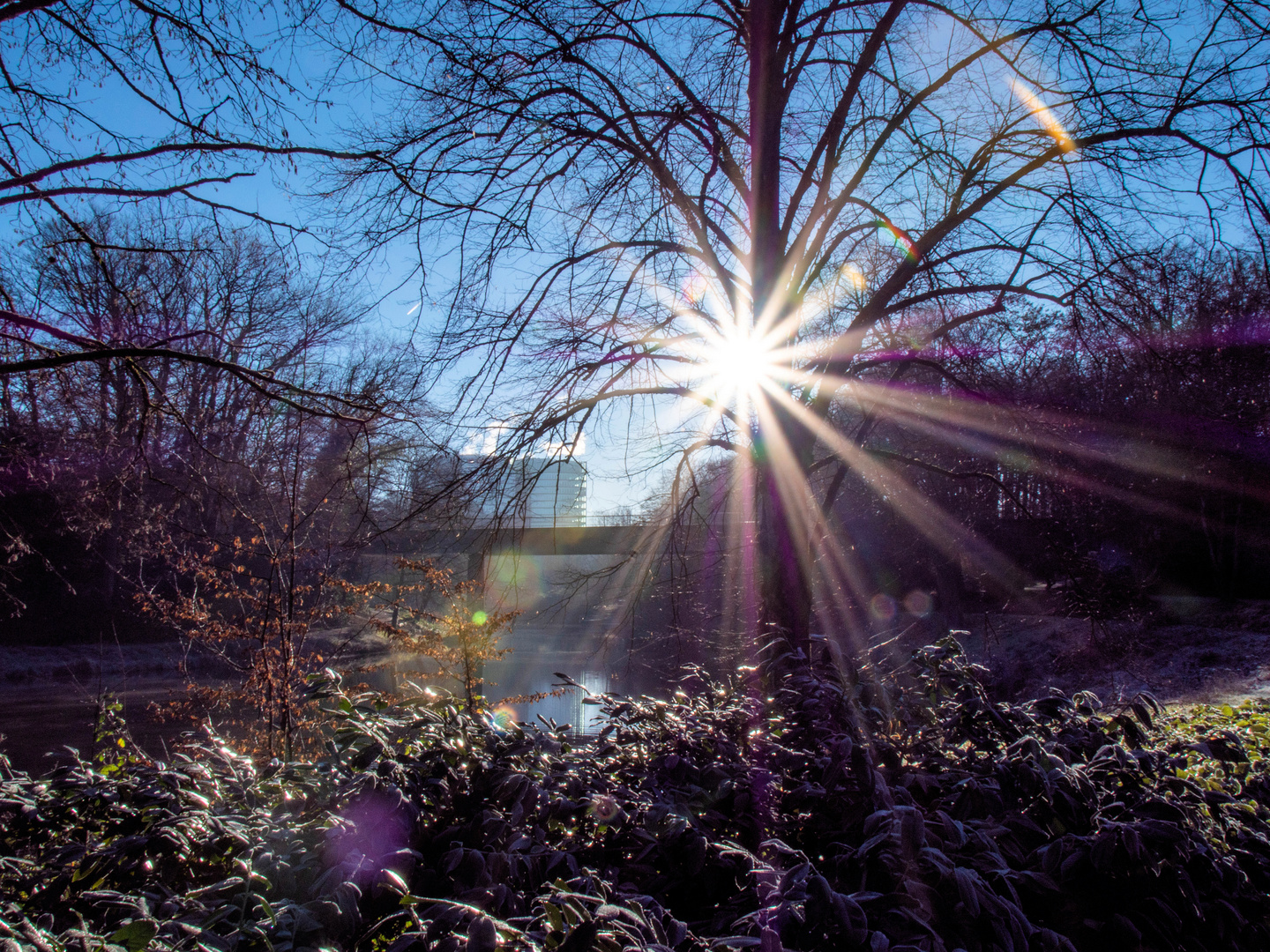 Dezember-Licht