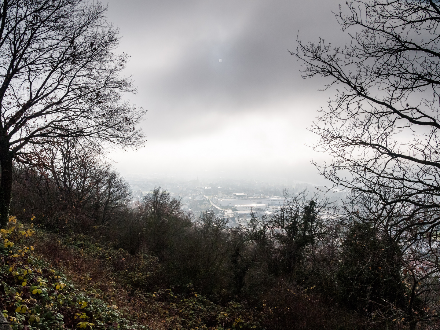 Dezember-Nachmittag am Weinberg 475