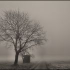 Dezember Nebel 2