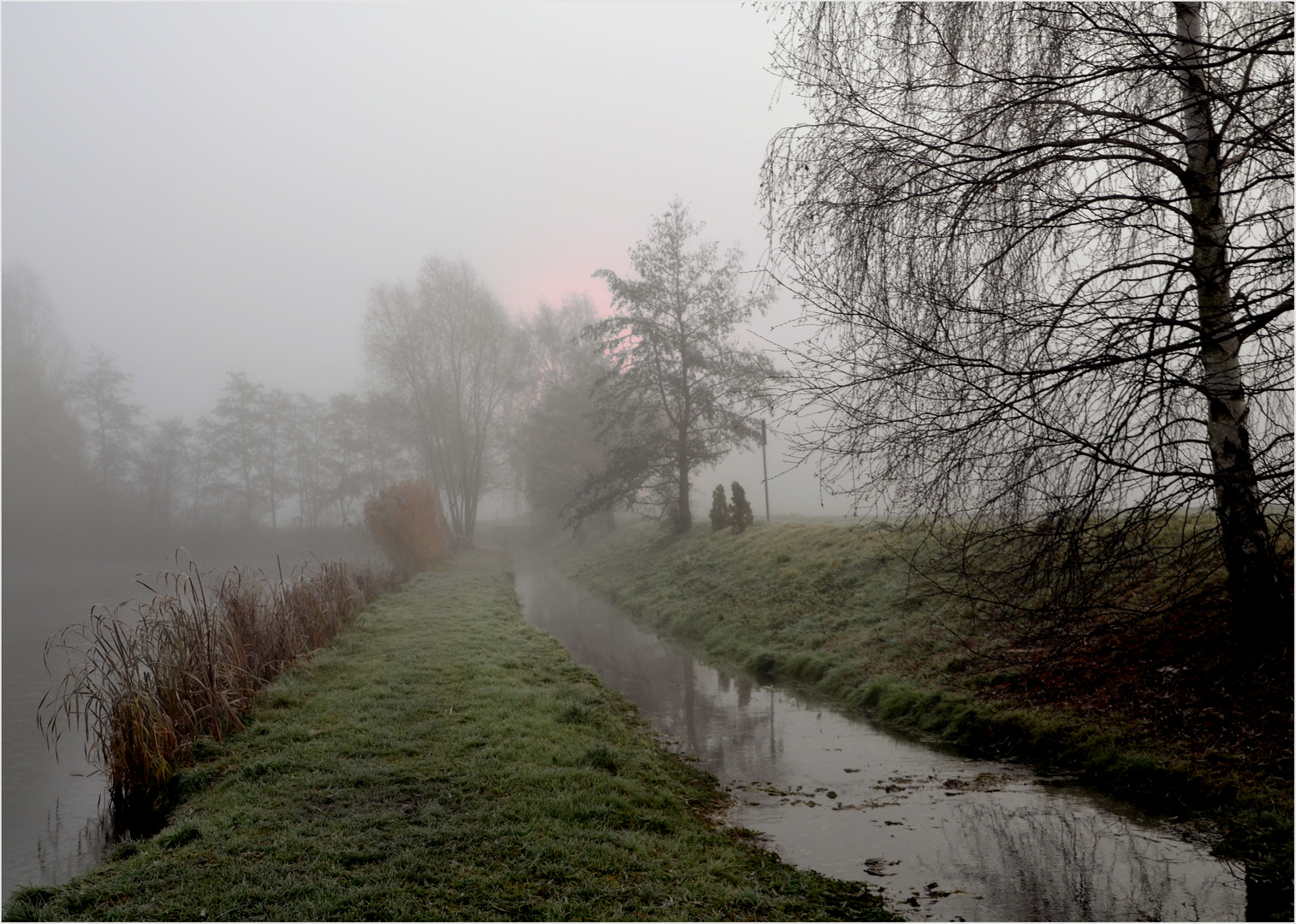 Dezember- Nebel