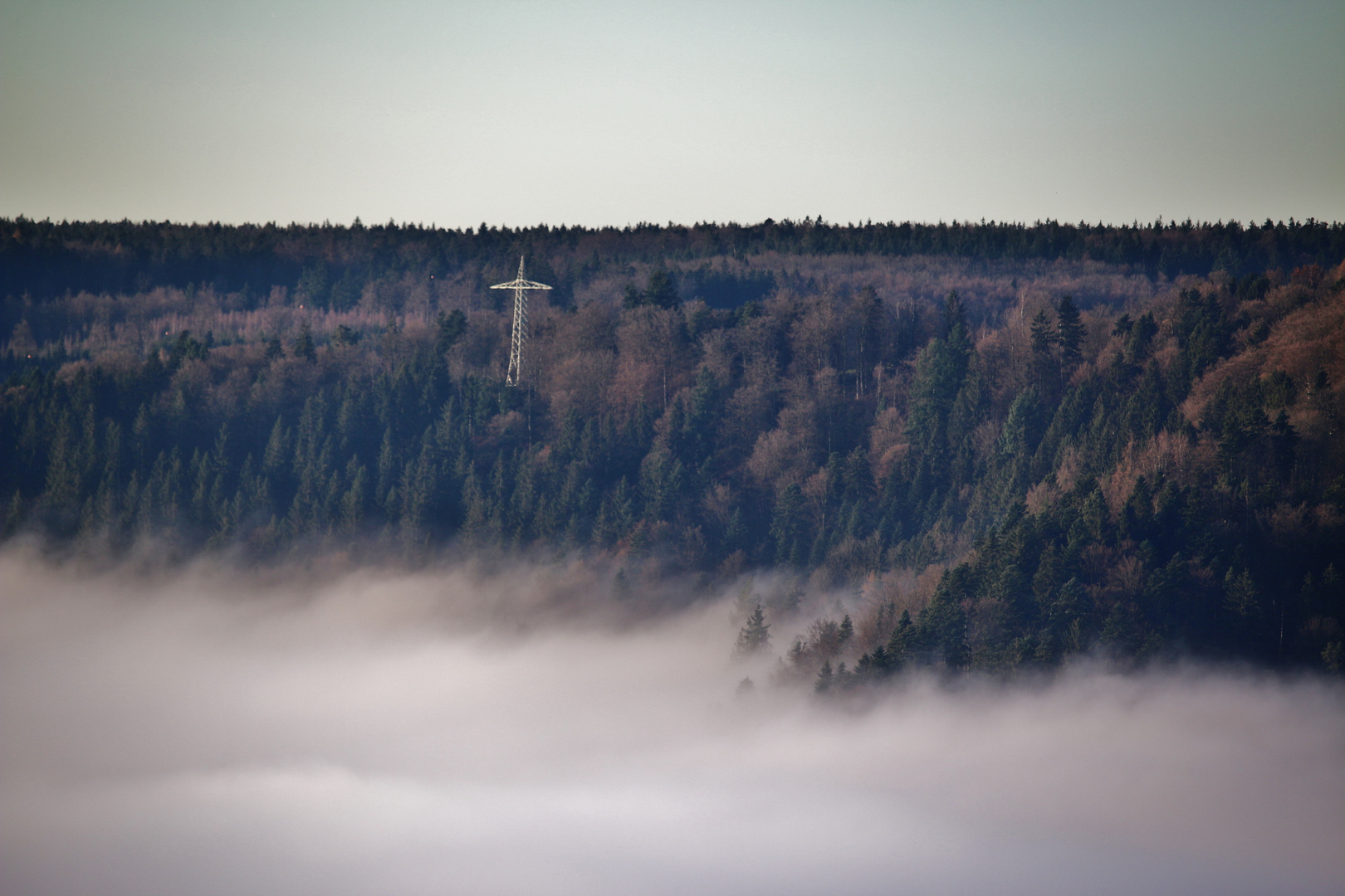 DEZEMBER-NEBELMORGEN/2