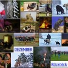 Dezember Rückblick 2018