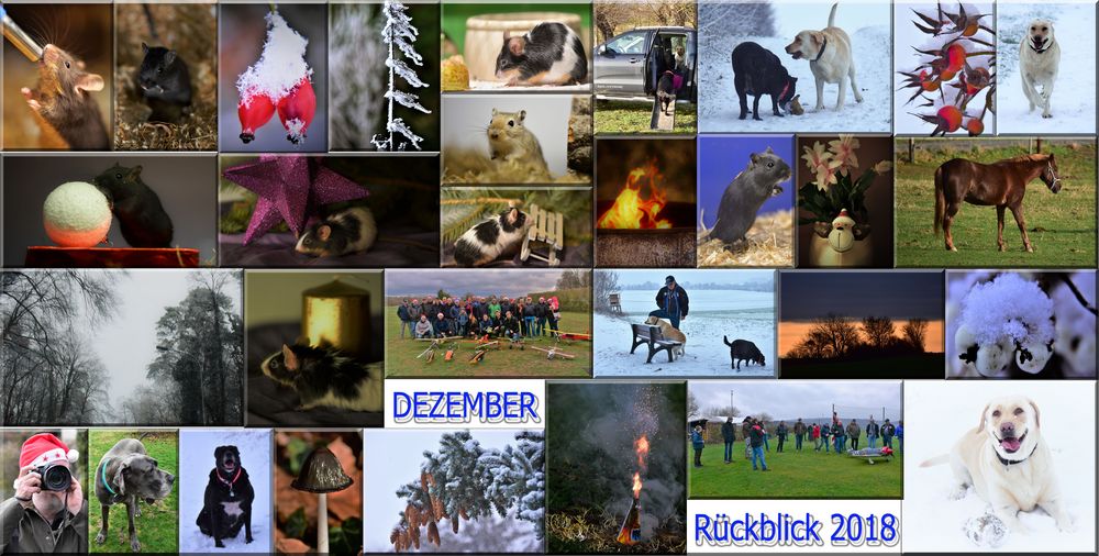 Dezember Rückblick 2018