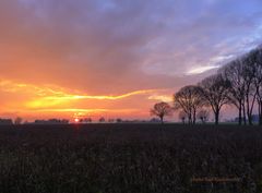  Dezember Soester-Börde Sonnenuntergang