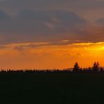 Dezember-Sonne im Bergischen 15:59 Uhr