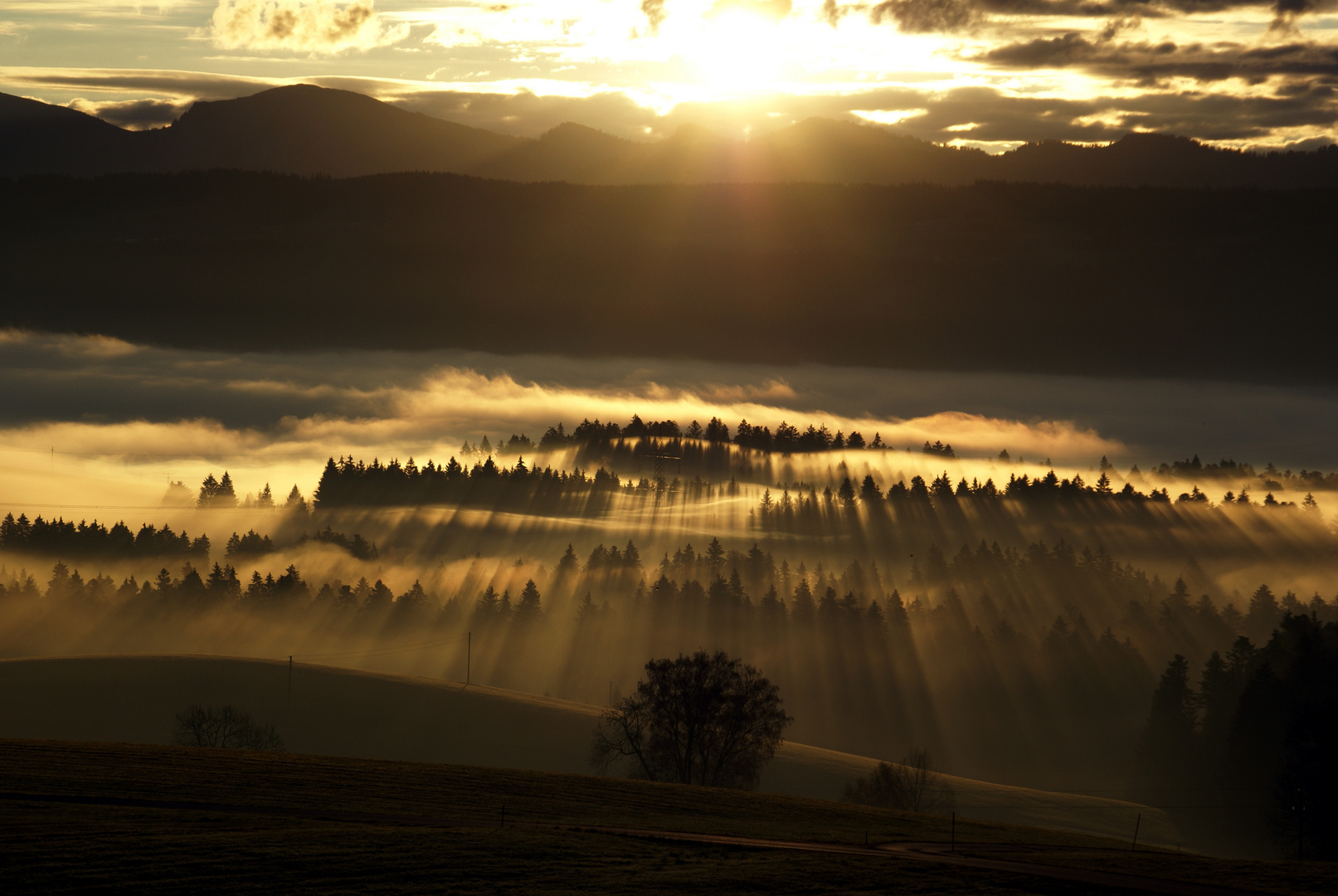 Dezember Sonnenaufgang. Allgäu