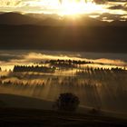 Dezember Sonnenaufgang. Allgäu