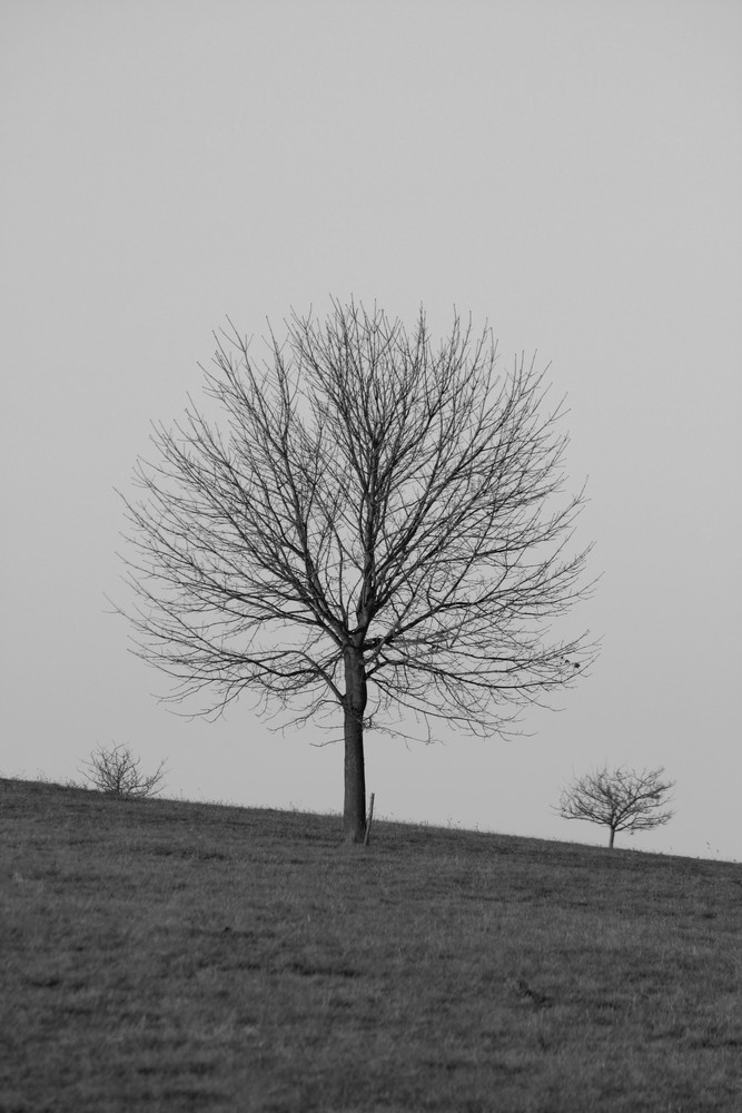 Dezember Spaziergang