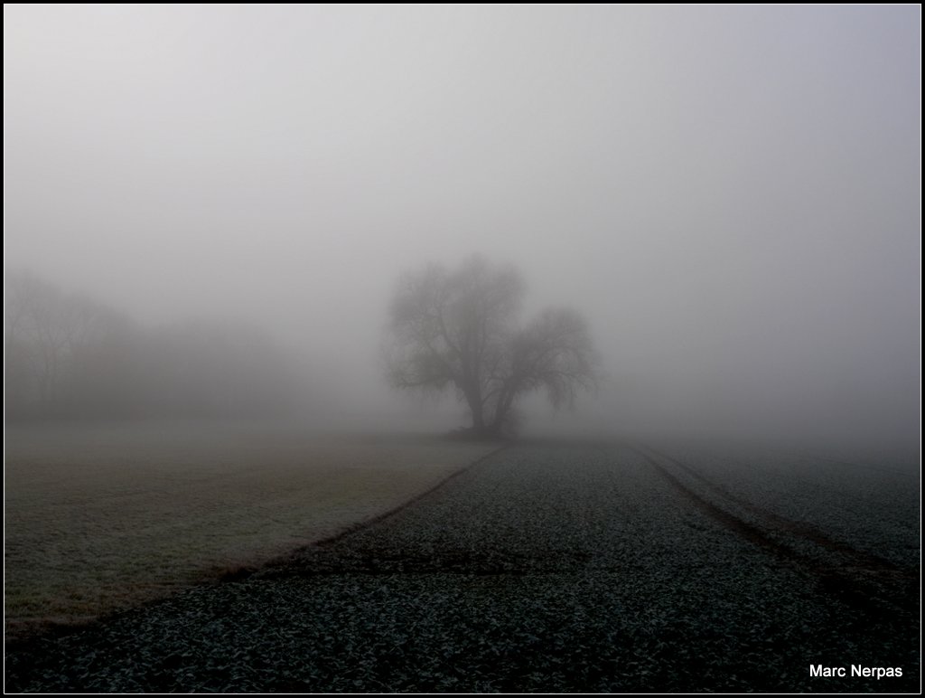 Dezember WInternebel 1