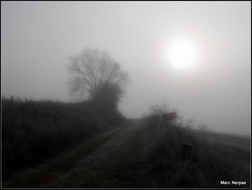 Dezember Winternebel 10