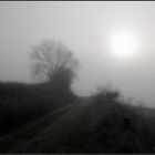 Dezember Winternebel 10