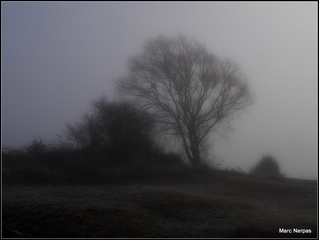 Dezember Winternebel 3