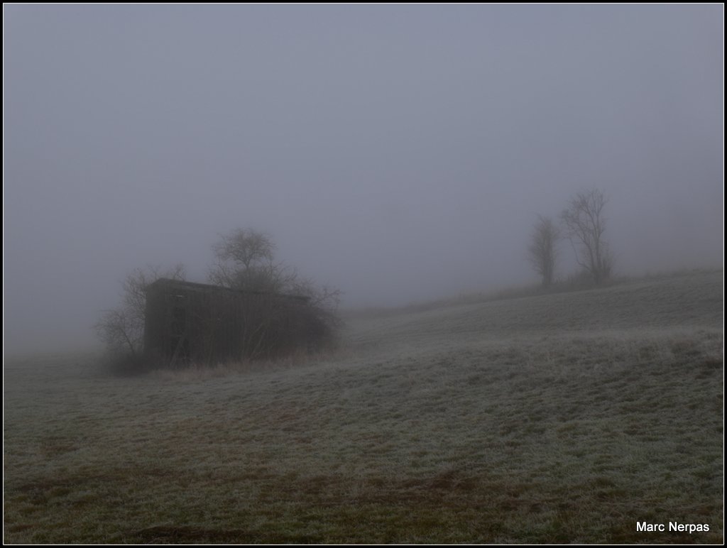 Dezember Winternebel 4