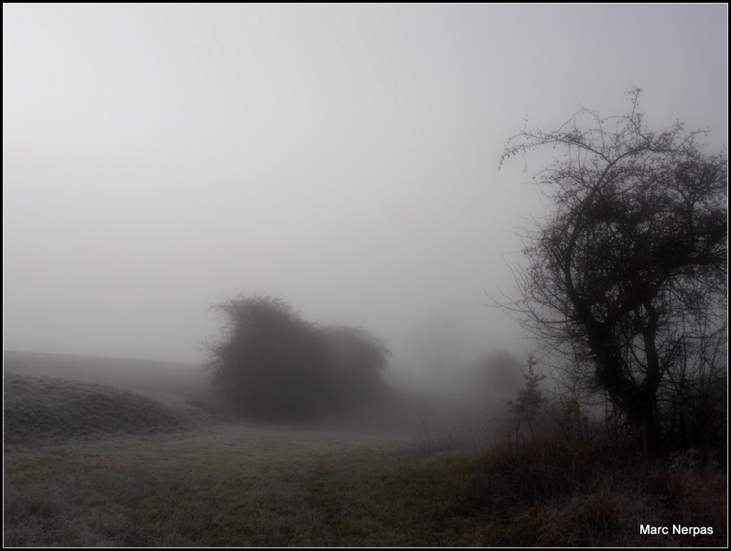 Dezember Winternebel 5