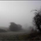 Dezember Winternebel 5