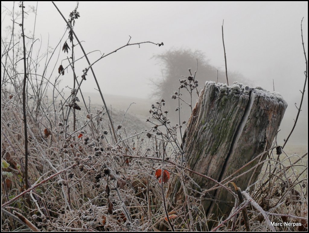 Dezember Winternebel 6