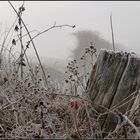 Dezember Winternebel 6