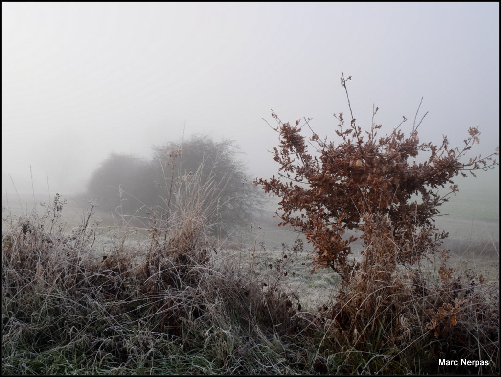 Dezember Winternebel 7