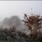 Dezember Winternebel 7