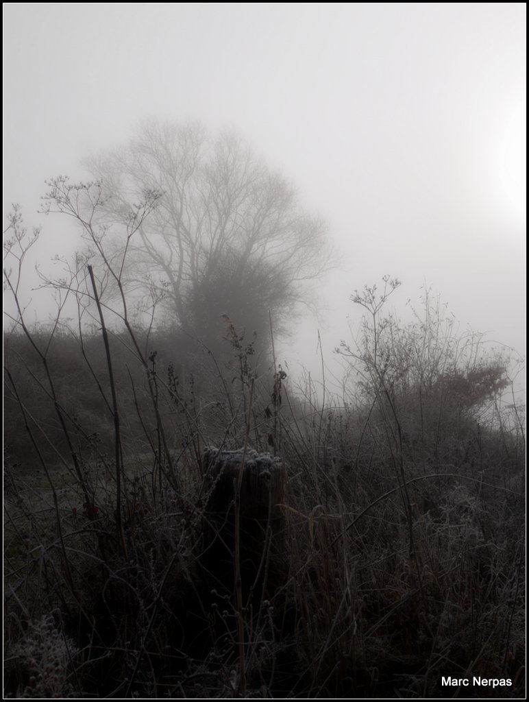 Dezember Winternebel 9