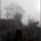 Dezember Winternebel 9