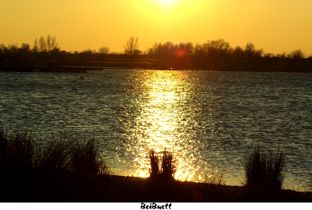 Dezemberabend am See