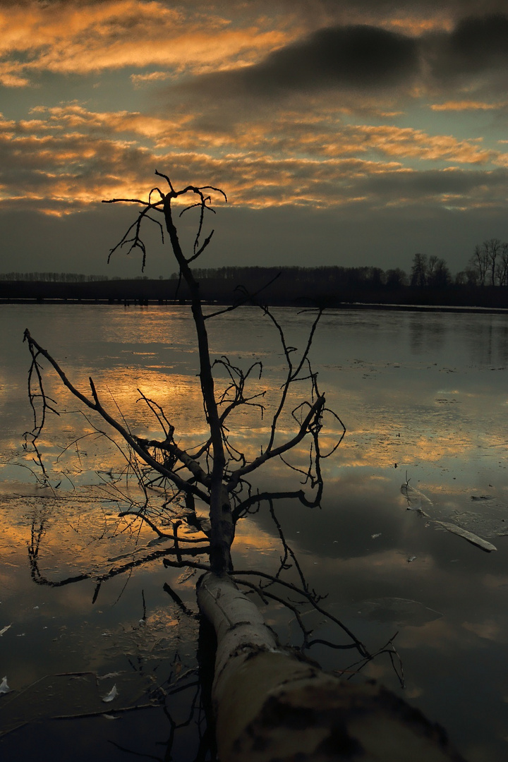 Dezemberabend am Teich