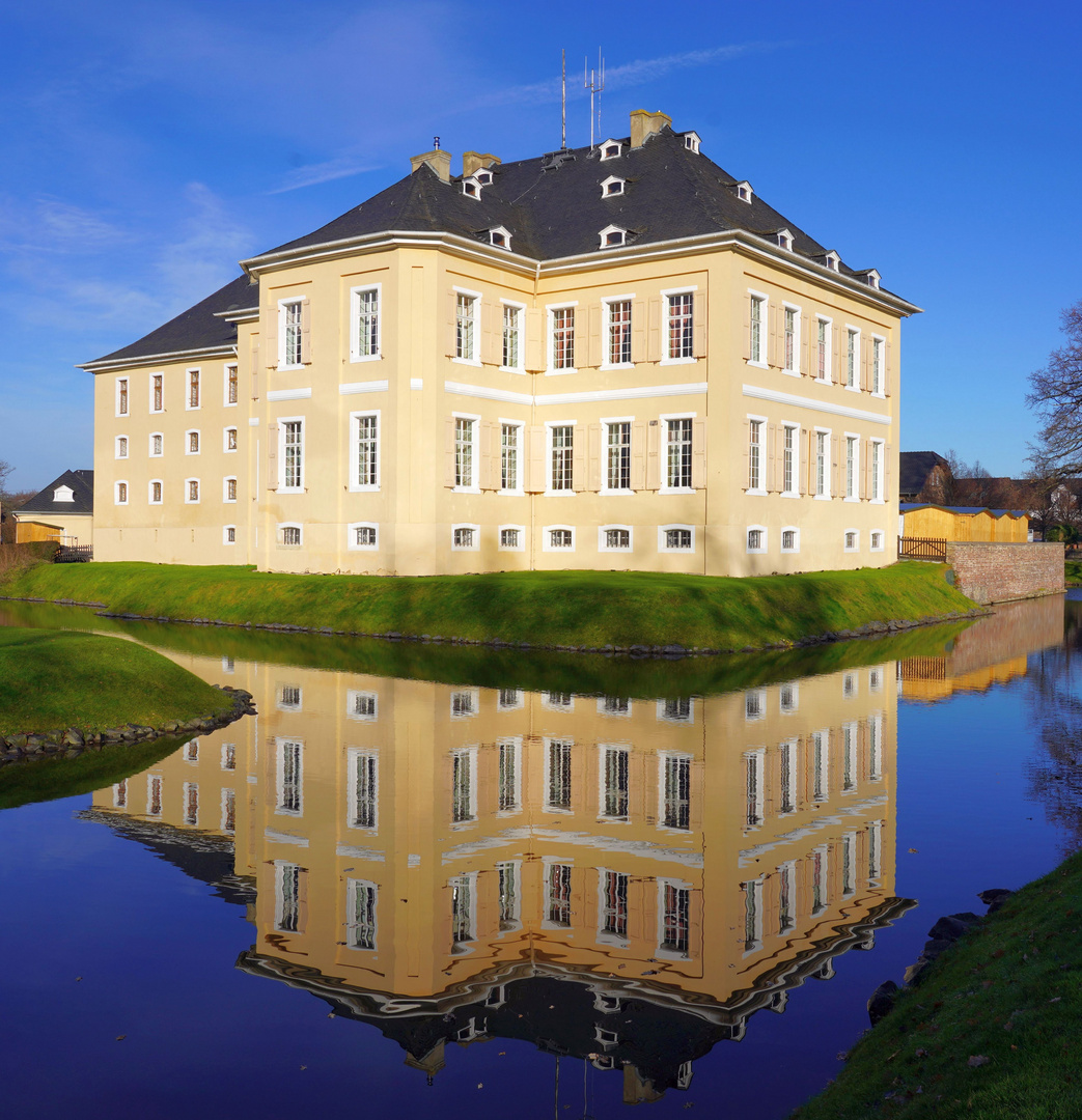 Dezemberfrühling am Schloss Miel bei Rheinbach