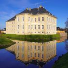 Dezemberfrühling am Schloss Miel bei Rheinbach