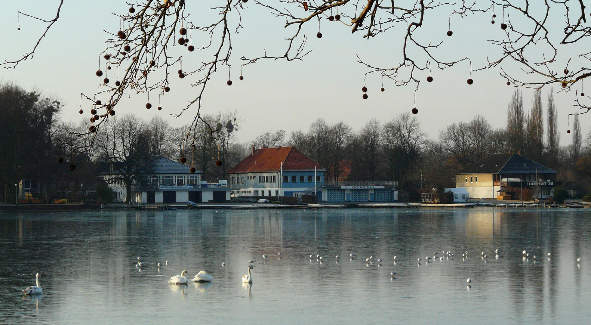 Dezemberlandschaft