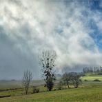 dezemberlandschaft mit nebelsonne