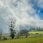 dezemberlandschaft ohne nebelsonne