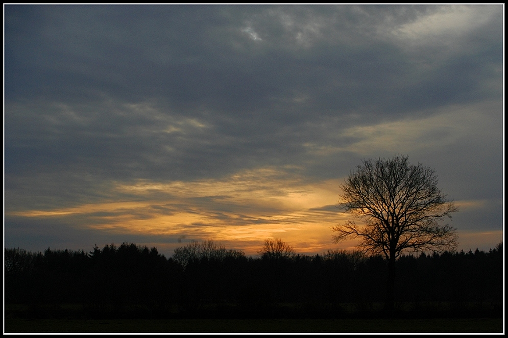 Dezemberlicht