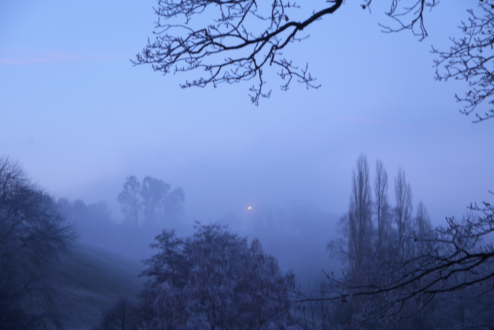 Dezemberlicht