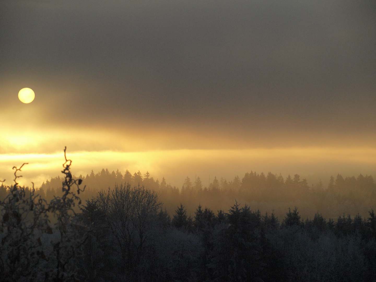 Dezembermorgen