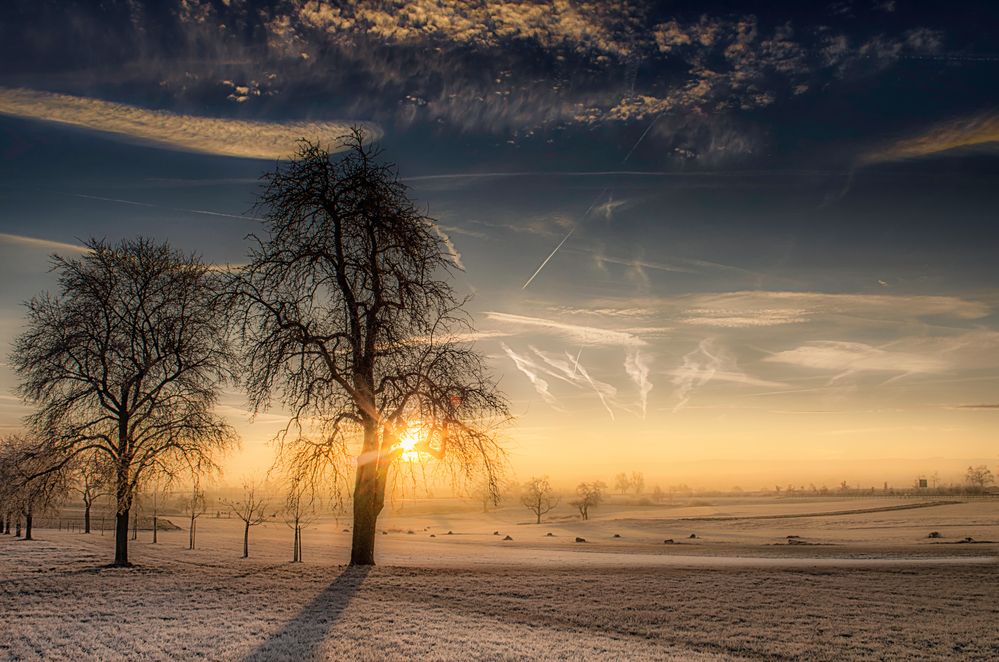 Foto & Bild dezember, natur, Bilder auf