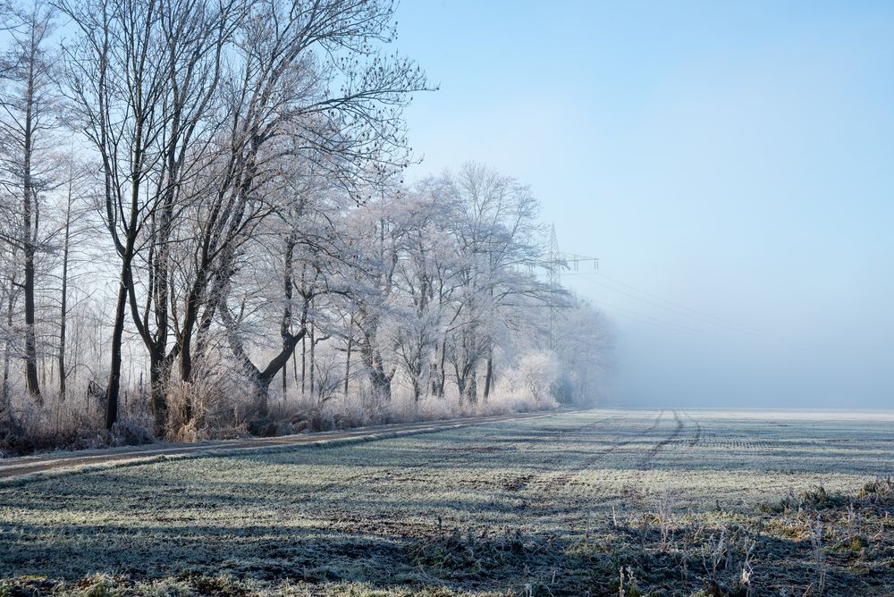 Dezembermorgen