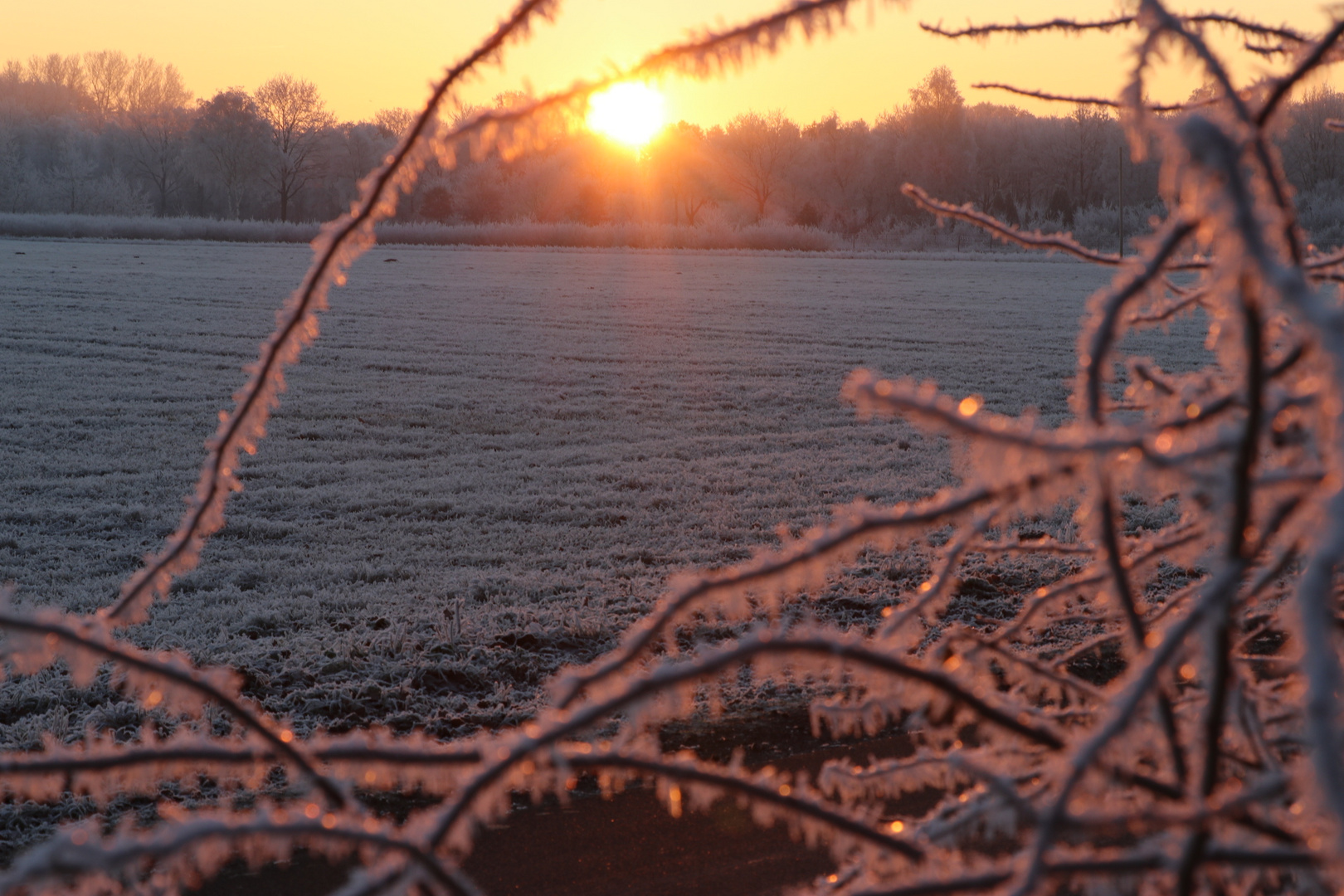 Dezembermorgen