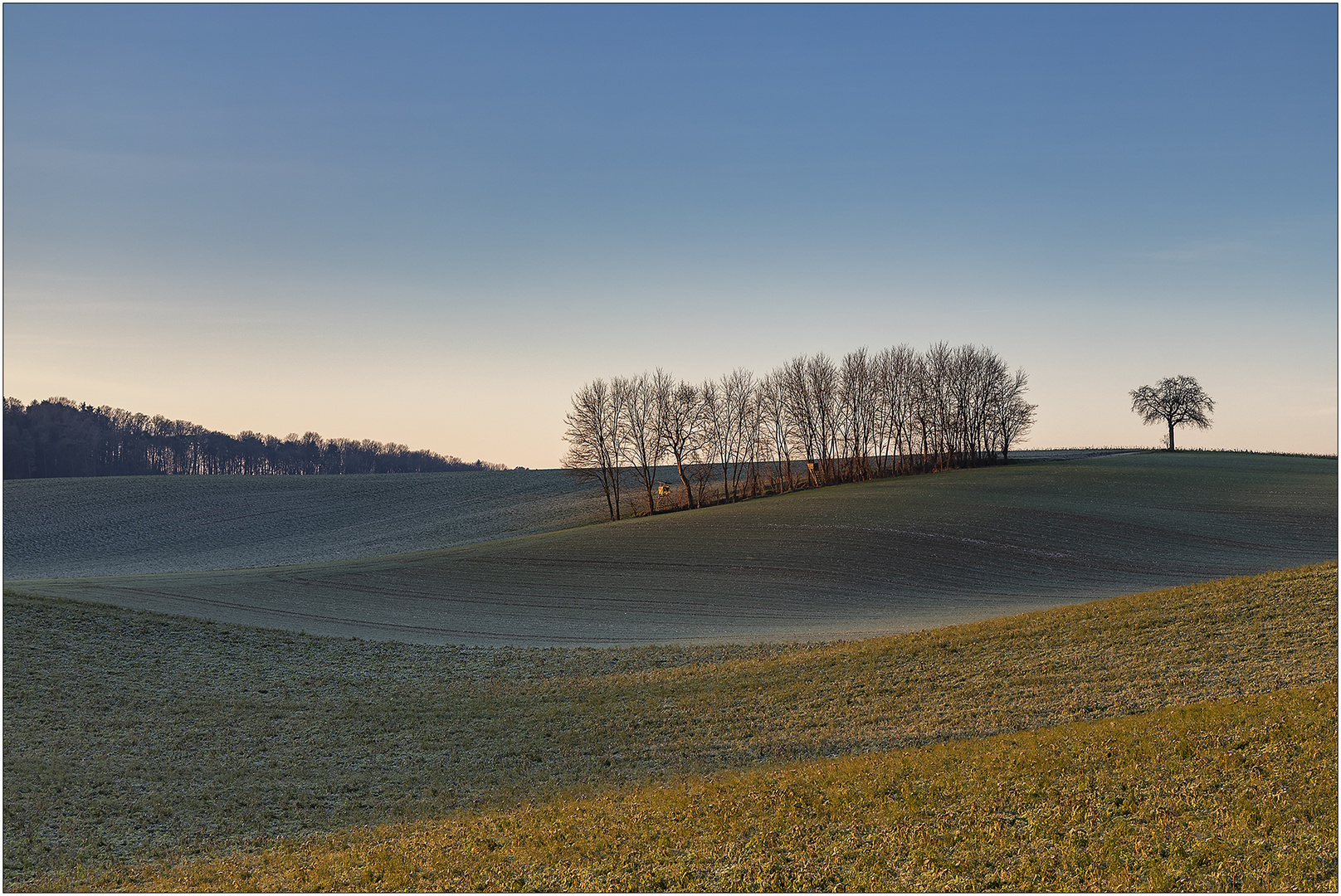 Dezembermorgen