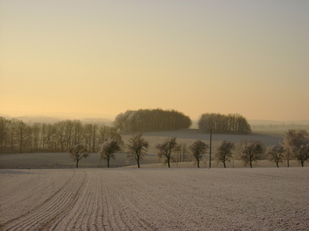 Dezembermorgen