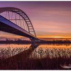 Dezembermorgen an der Elbe 