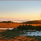 Dezembermorgen auf der Hohen Rhön (1)