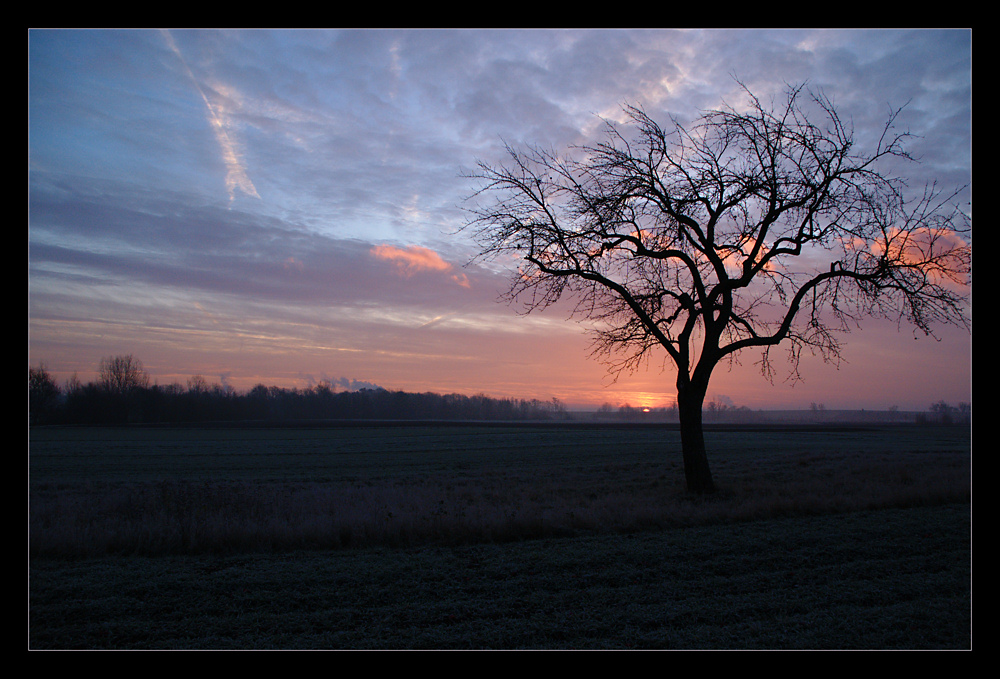 Dezembermorgen