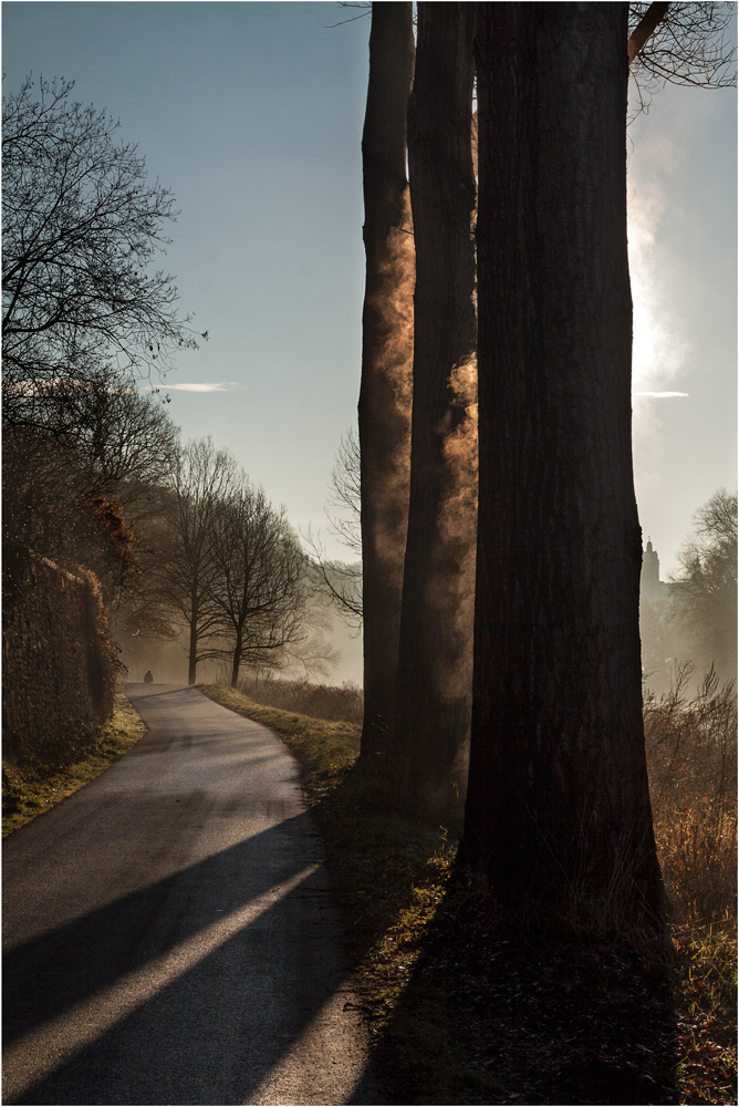 ... Dezembermorgen ...