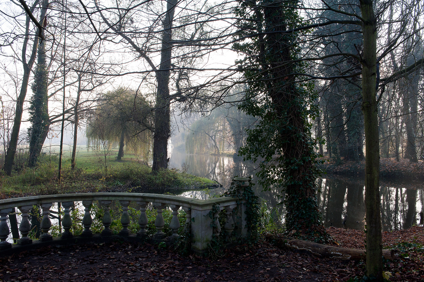 Dezembermorgen im Schlosspark Blankensee