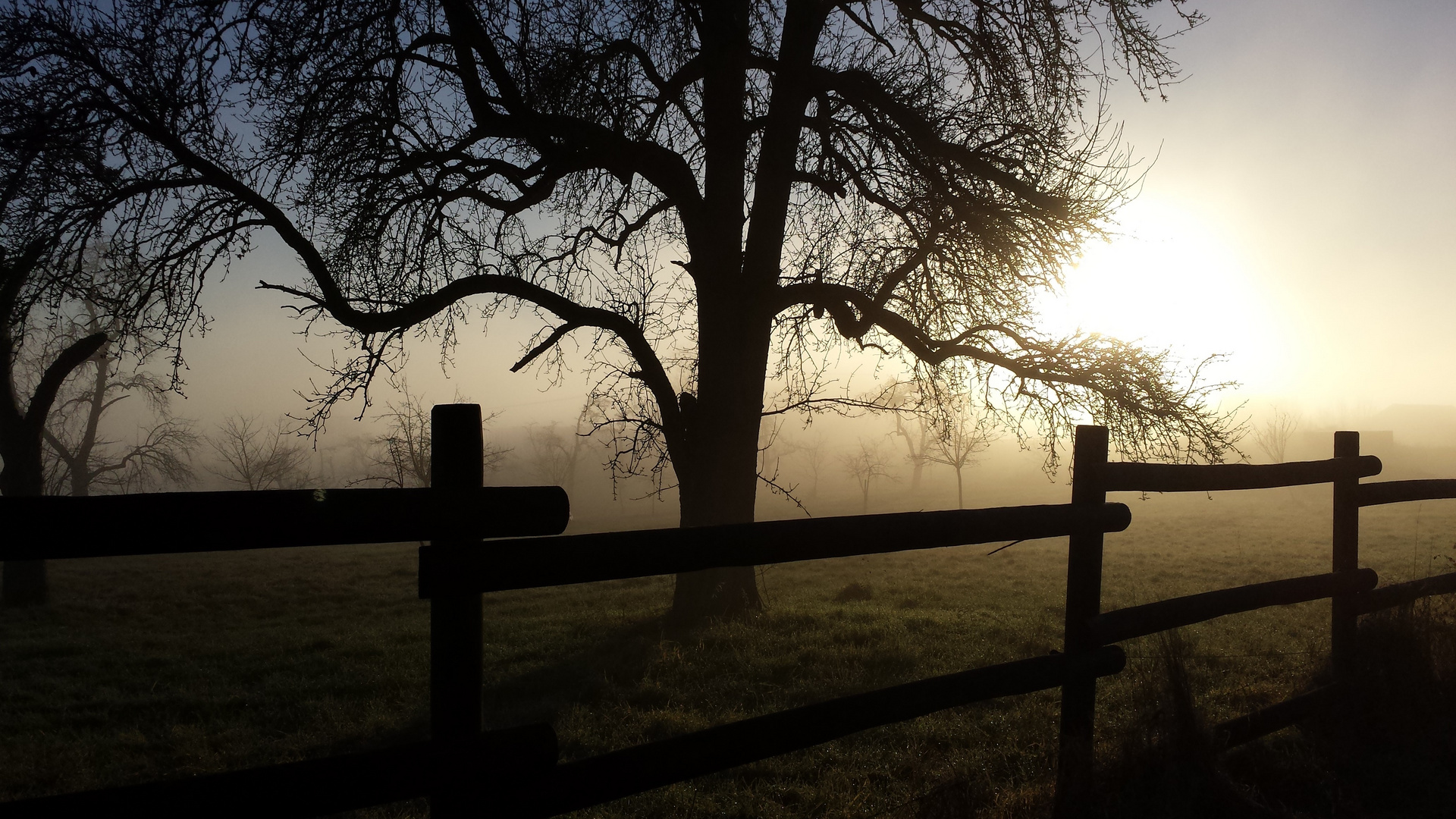 Dezembermorgen in Backnang