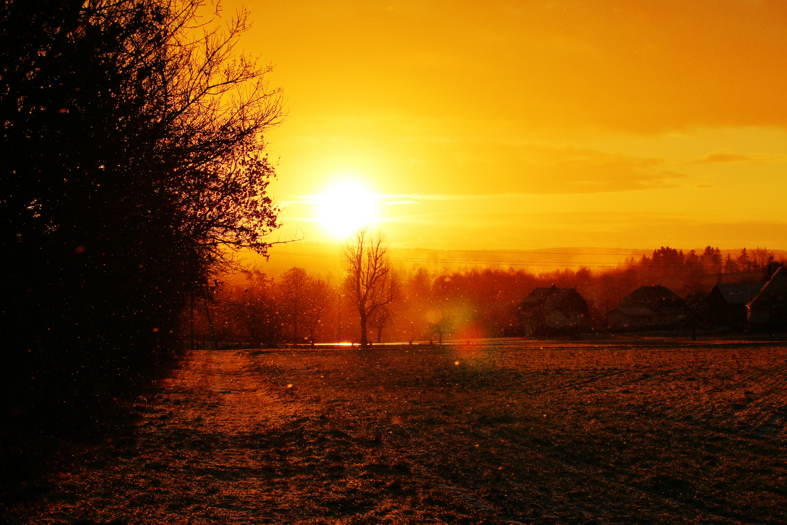 Dezembermorgen mit " Goldschnee "