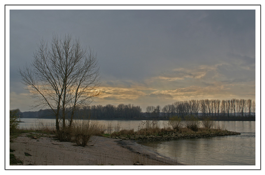 Dezembernachmittag am Rheinstrand