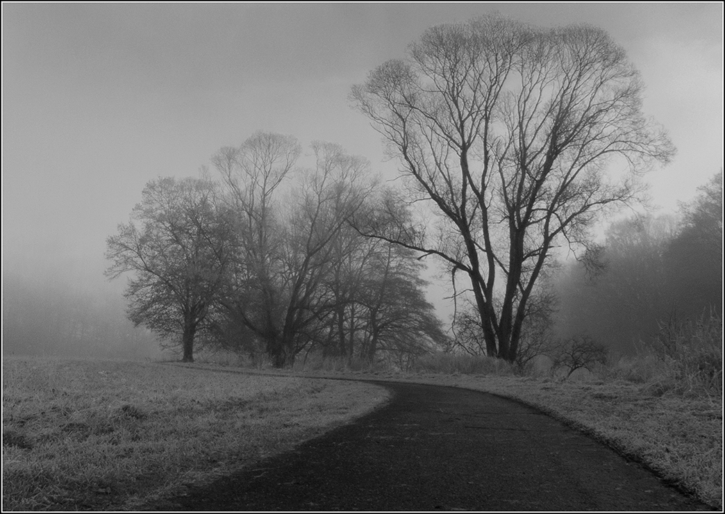 Dezembernebel